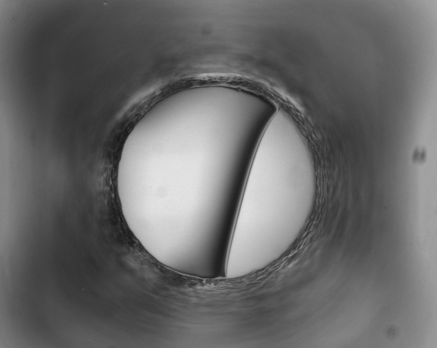 X0000102771351200808180945