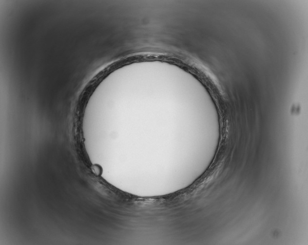 X0000102771352200808180945