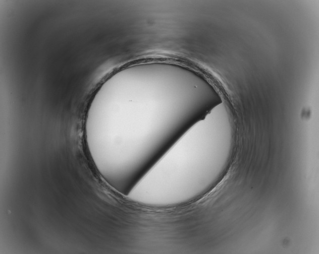 X0000102771355200808180945