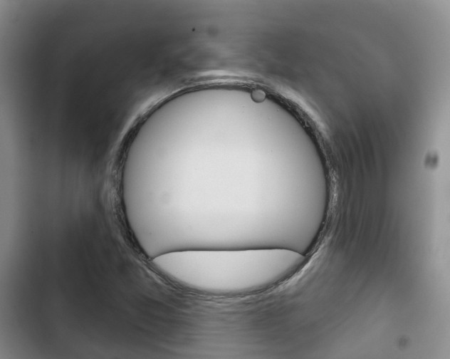 X0000102771357200808180945