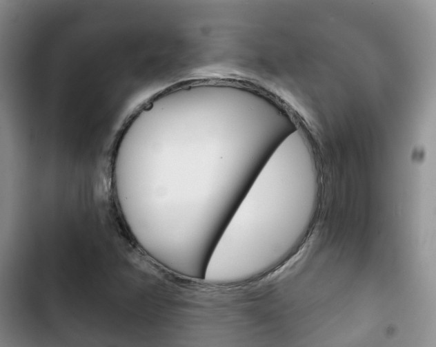 X0000102771358200808180945
