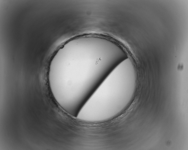 X0000102771359200808180945