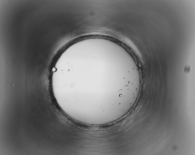 X0000102771360200808180945