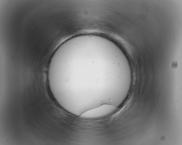 X0000102771361200808180945
