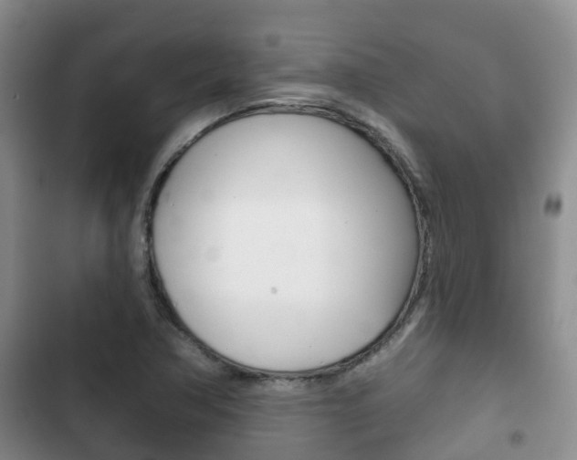 X0000102771362200808180945