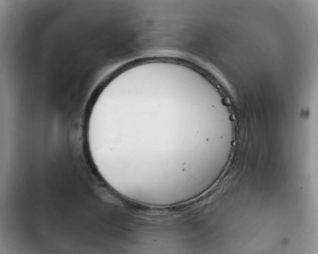 X0000102771364200808180945
