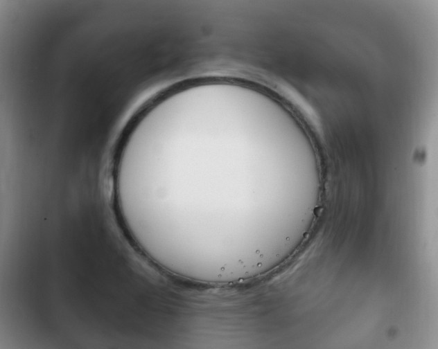 X0000102771368200808180945