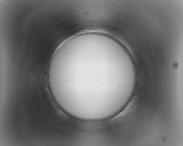X0000102771369200808180945