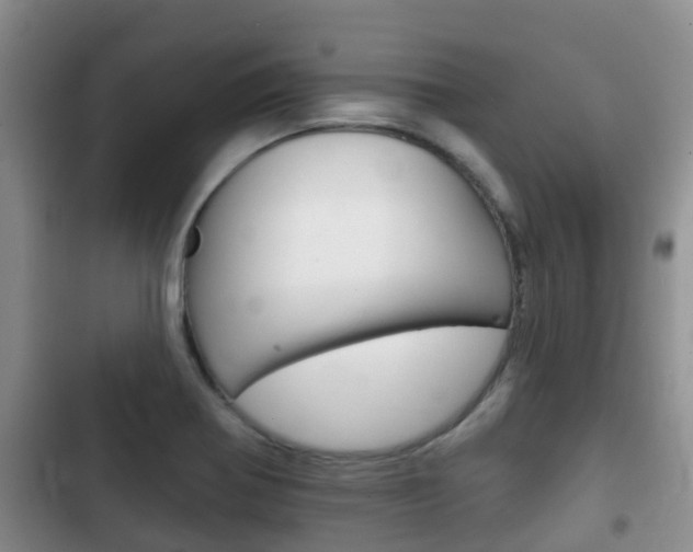 X0000102771370200808180945