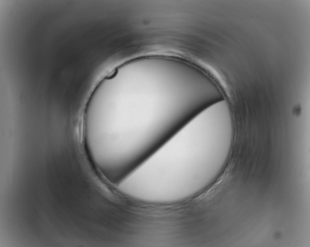 X0000102771371200808180945