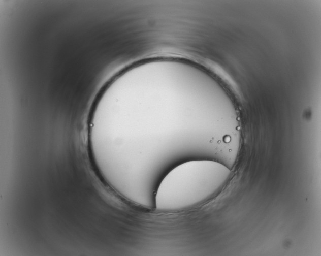 X0000102771372200808180945