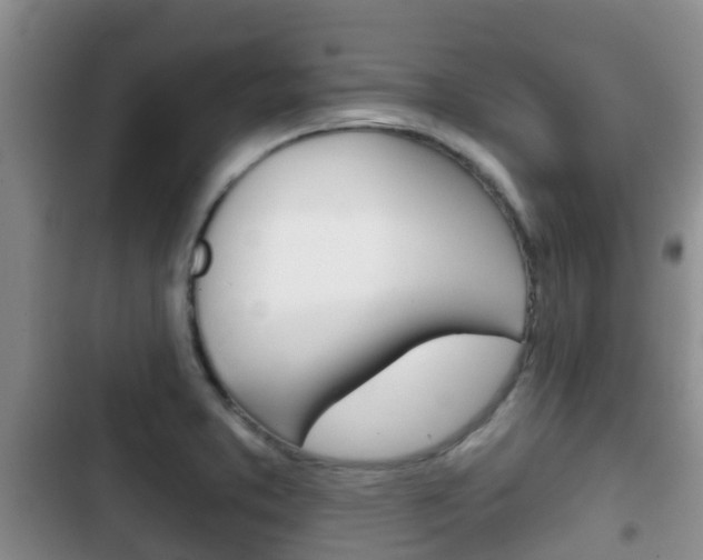 X0000102771373200808180945