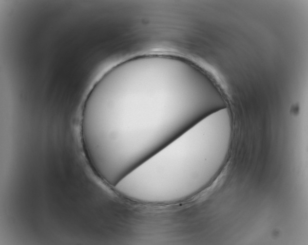 X0000102771374200808180945