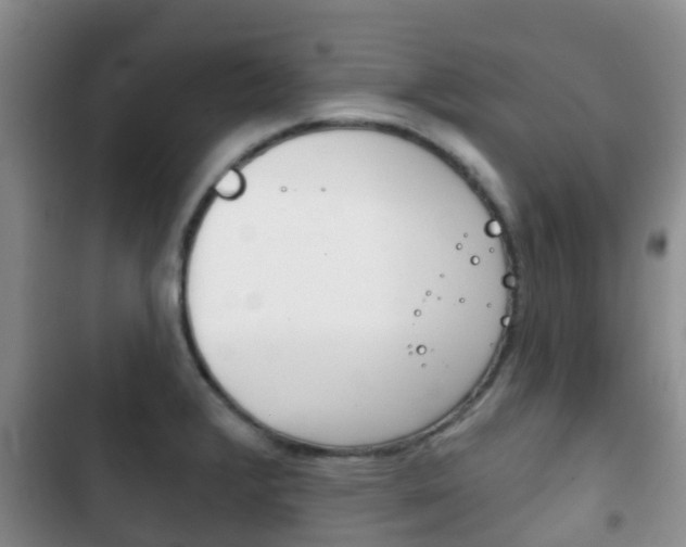 X0000102771376200808180945