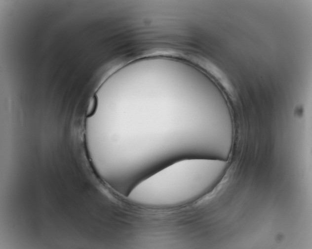 X0000102771377200808180945