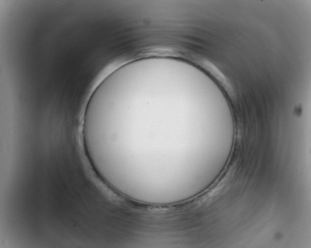 X0000102771378200808180945