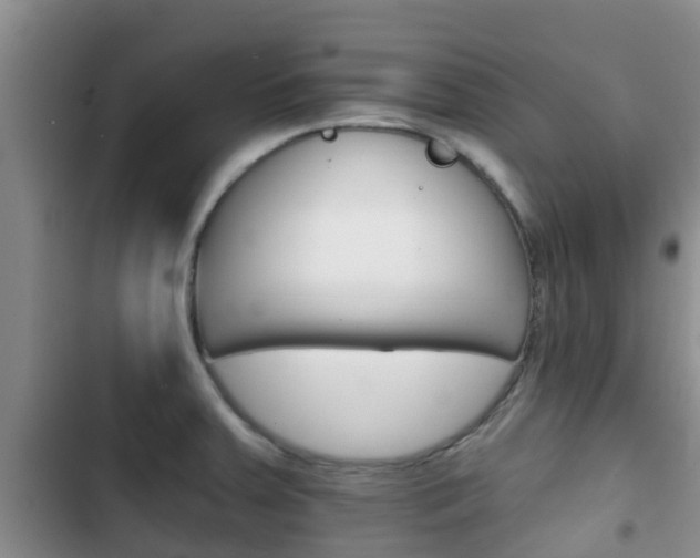 X0000102771379200808180945