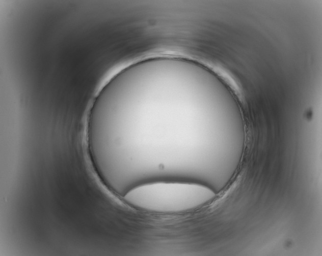 X0000102771382200808180945