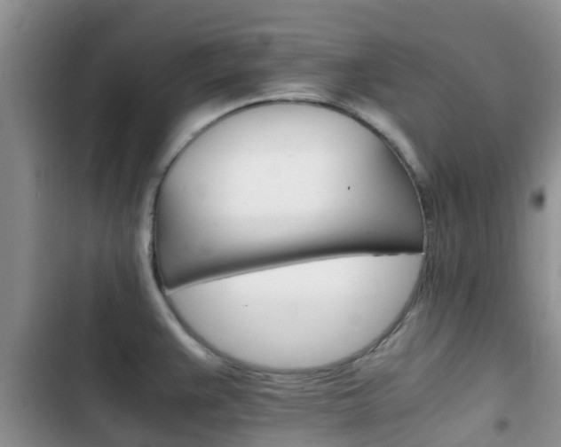 X0000102771383200808180945