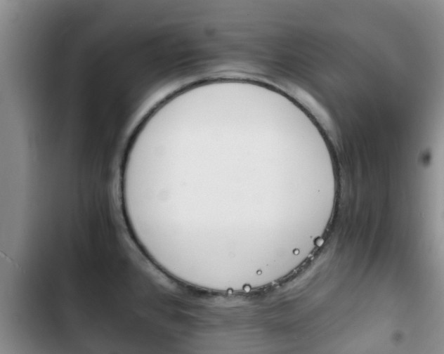 X0000102771384200808180945