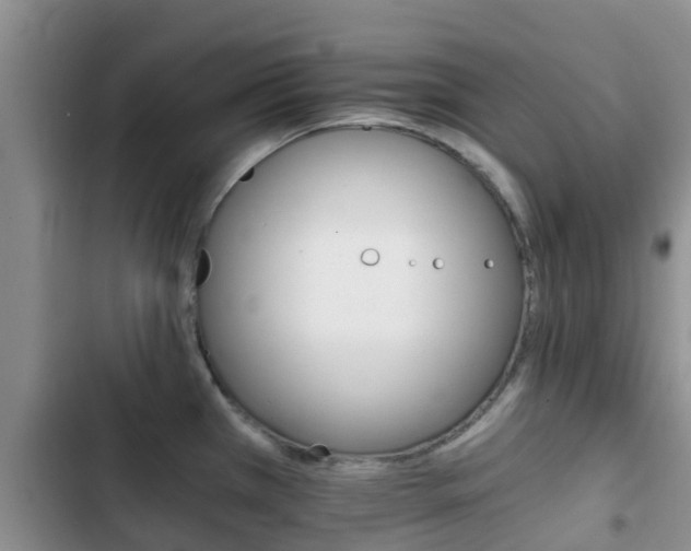 X0000102771385200808180945