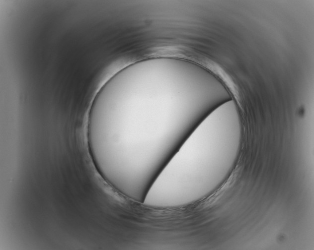 X0000102771386200808180945
