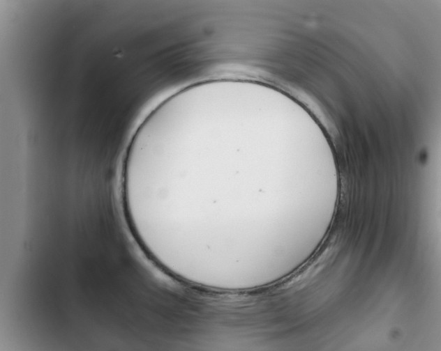 X0000102771387200808180945