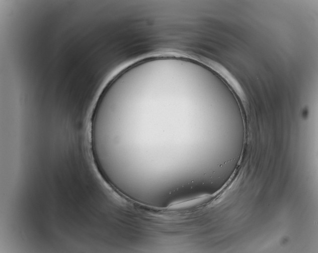 X0000102771388200808180945