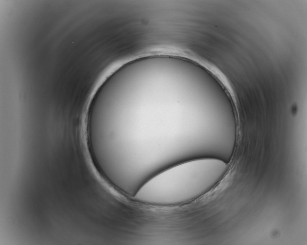 X0000102771389200808180945