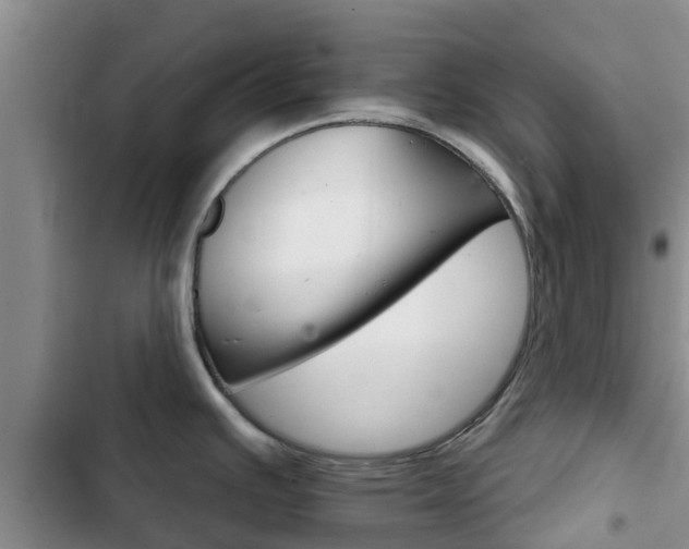 X0000102771391200808180945