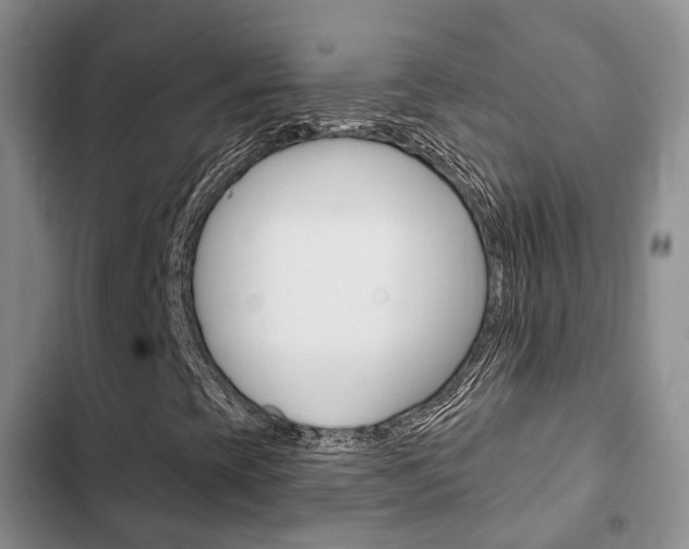 X0000102771393200808180944