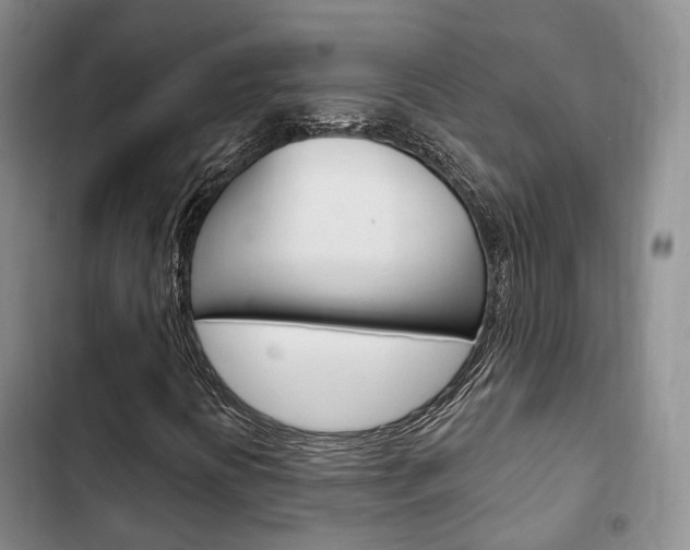 X0000102771394200808180944