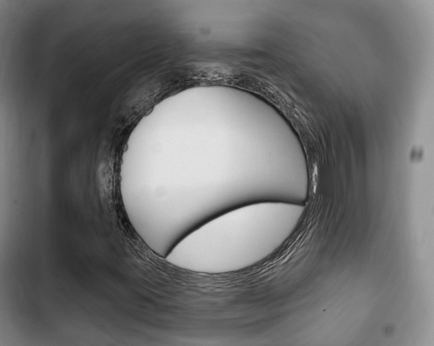 X0000102771395200808180944