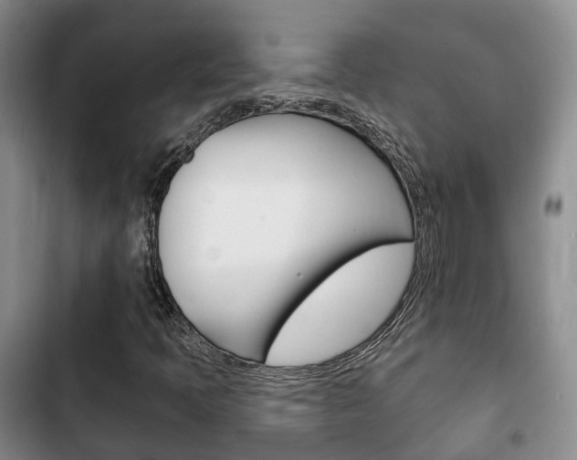 X0000102771397200808180944