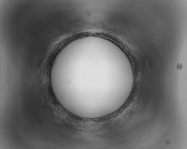 X0000102771398200808180944