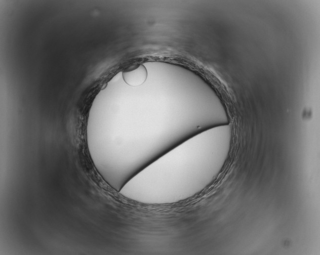 X0000102771399200808180944