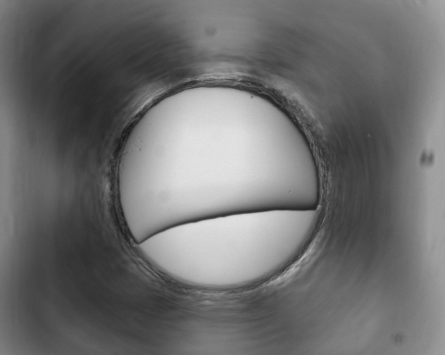 X0000102771401200808180944