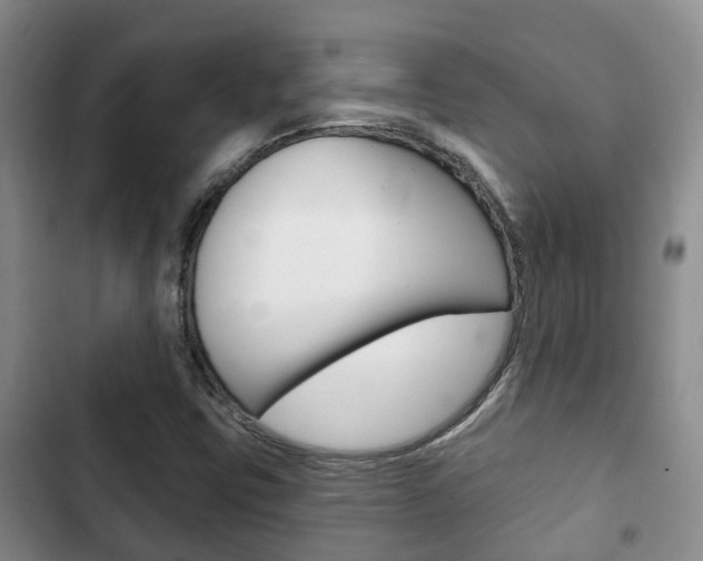 X0000102771403200808180944