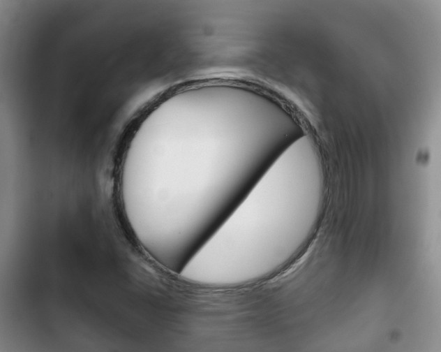 X0000102771406200808180944
