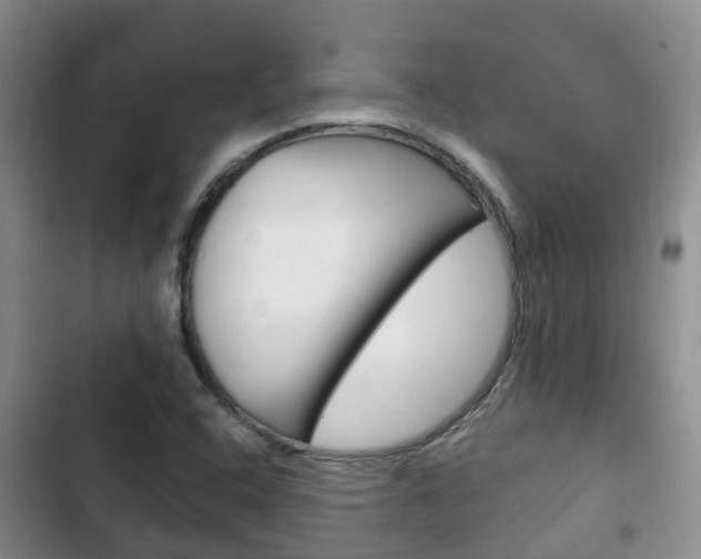 X0000102771408200808180944