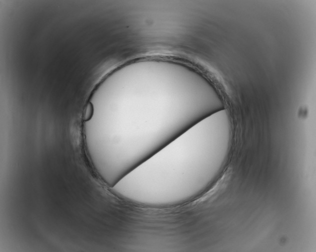 X0000102771409200808180944