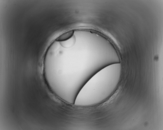 X0000102771413200808180944