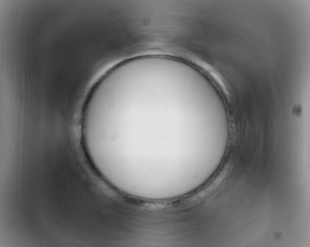 X0000102771415200808180945