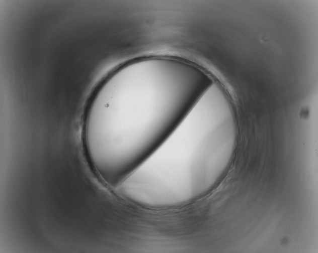 X0000102771416200808180945