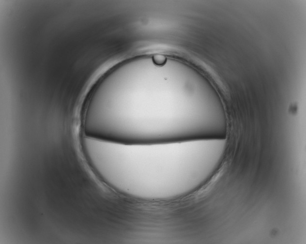 X0000102771418200808180945