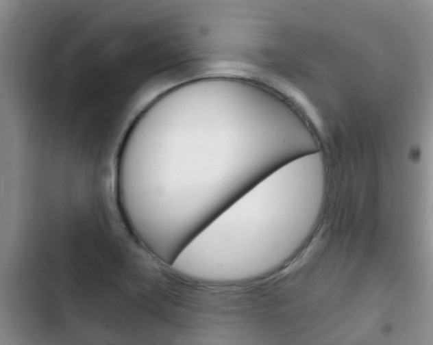 X0000102771419200808180945