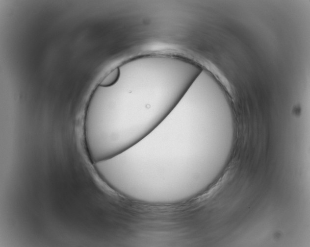 X0000102771421200808180945
