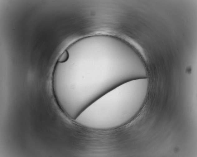 X0000102771423200808180945