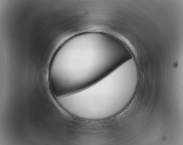 X0000102771424200808180945