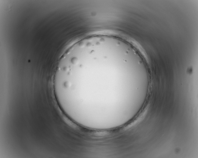 X0000102771425200808180945